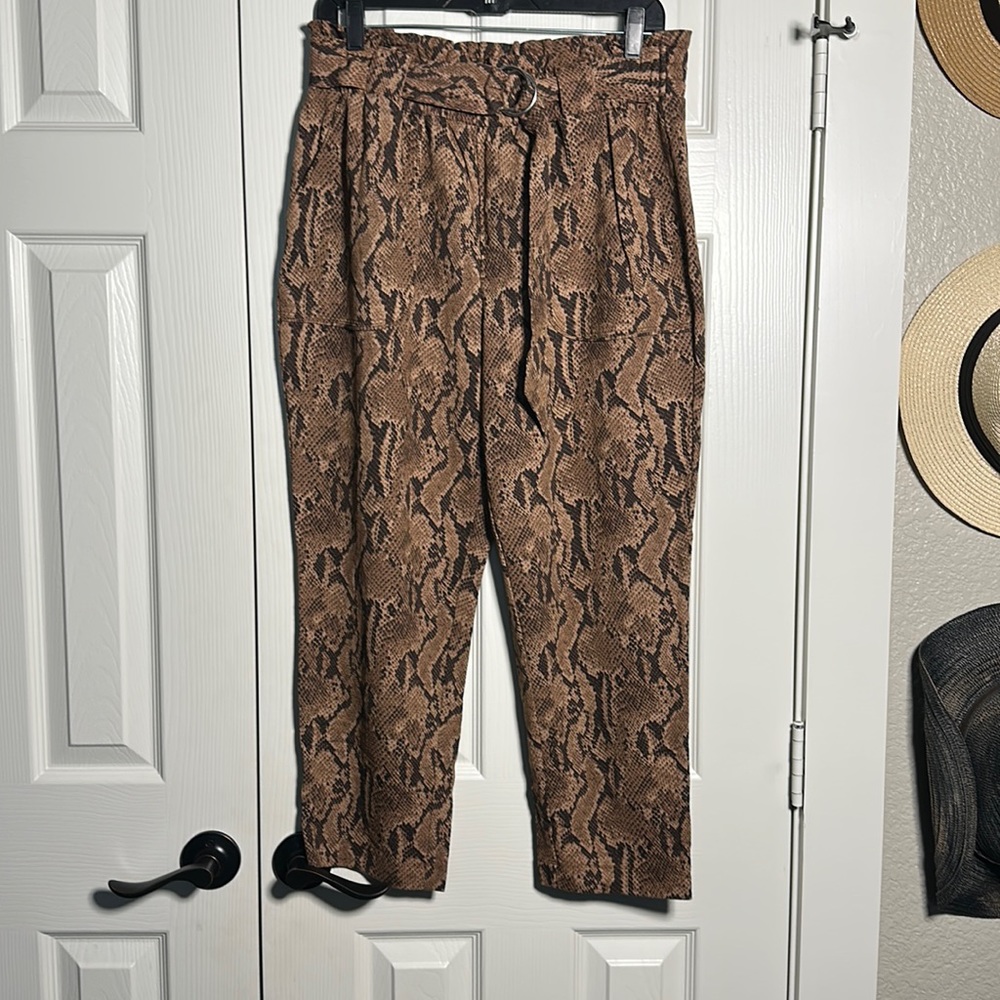 Express Pants